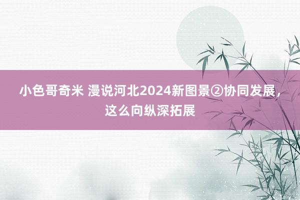 小色哥奇米 漫说河北2024新图景②协同发展，这么向纵深拓展