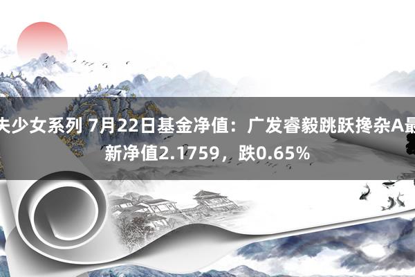 失少女系列 7月22日基金净值：广发睿毅跳跃搀杂A最新净值2.1759，跌0.65%