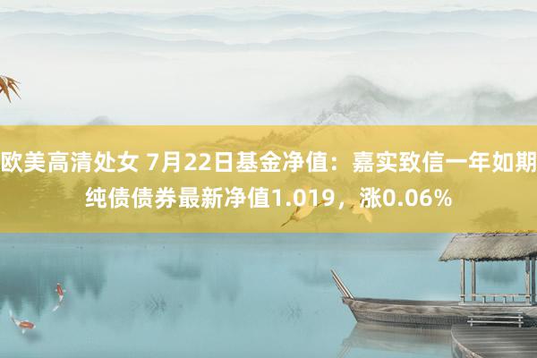 欧美高清处女 7月22日基金净值：嘉实致信一年如期纯债债券最新净值1.019，涨0.06%