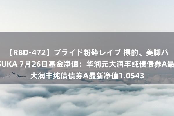 【RBD-472】プライド粉砕レイプ 標的、美脚パーツモデル ASUKA 7月26日基金净值：华润元大润丰纯债债券A最新净值1.0543