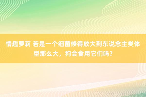 情趣萝莉 若是一个细菌倏得放大到东说念主类体型那么大，狗会食用它们吗？