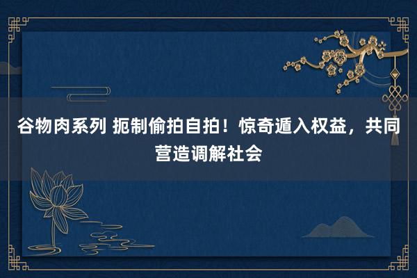 谷物肉系列 扼制偷拍自拍！惊奇遁入权益，共同营造调解社会