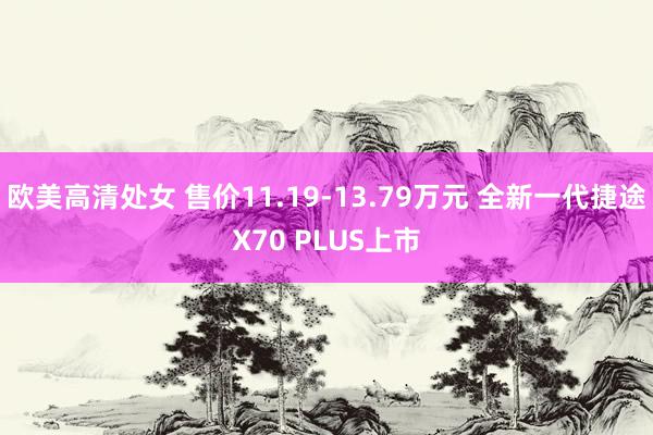 欧美高清处女 售价11.19-13.79万元 全新一代捷途X70 PLUS上市