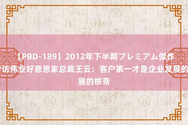 【PBD-189】2012年下半期プレミアム傑作選 专访伟业好意思家总裁王云：客户第一才是企业发展的根蒂