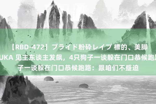 【RBD-472】プライド粉砕レイプ 標的、美脚パーツモデル ASUKA 见主东谈主发飙，4只狗子一谈躲在门口恭候跑路：跟咱们不蹙迫