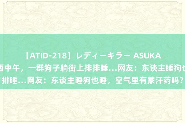 【ATID-218】レディーキラー ASUKA 竹内紗里奈 麻生ゆう 山西中午，一群狗子躺街上排排睡…网友：东谈主睡狗也睡，空气里有蒙汗药吗？