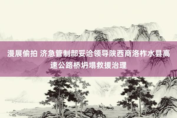 漫展偷拍 济急管制部妥洽领导陕西商洛柞水县高速公路桥坍塌救援治理