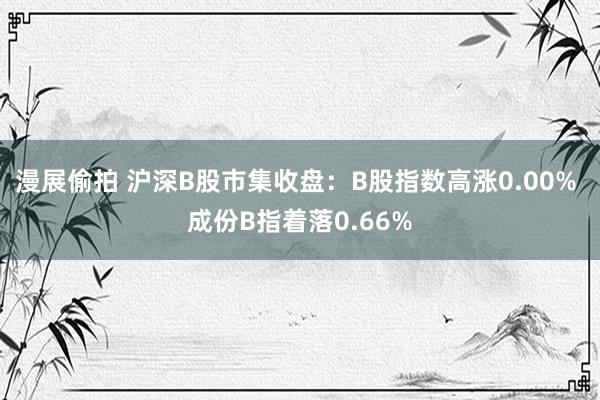 漫展偷拍 沪深B股市集收盘：B股指数高涨0.00% 成份B指着落0.66%