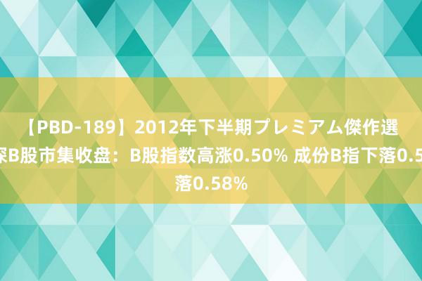 【PBD-189】2012年下半期プレミアム傑作選 沪深B股市集收盘：B股指数高涨0.50% 成份B指下落0.58%