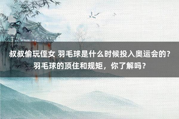 叔叔偷玩侄女 羽毛球是什么时候投入奥运会的？羽毛球的顶住和规矩，你了解吗？