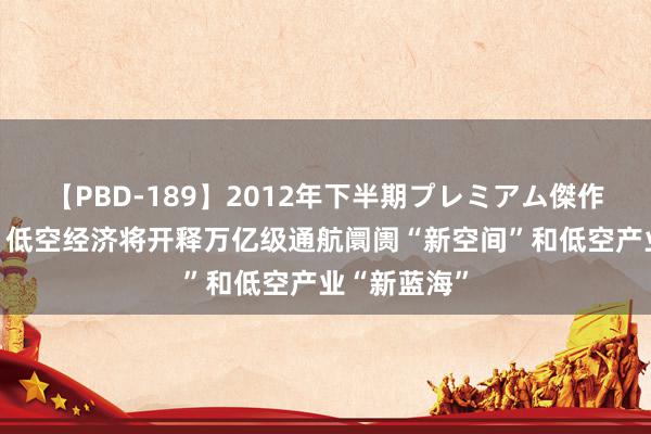 【PBD-189】2012年下半期プレミアム傑作選 朱克力：低空经济将开释万亿级通航阛阓“新空间”和低空产业“新蓝海”