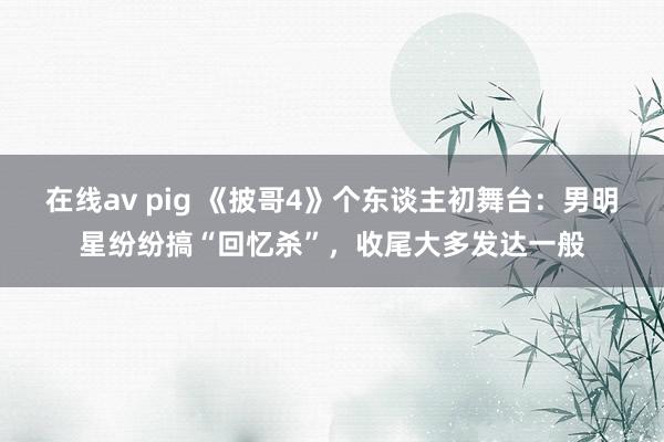 在线av pig 《披哥4》个东谈主初舞台：男明星纷纷搞“回忆杀”，收尾大多发达一般