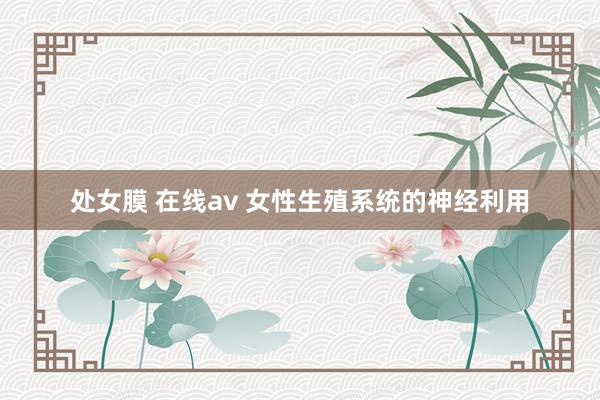 处女膜 在线av 女性生殖系统的神经利用