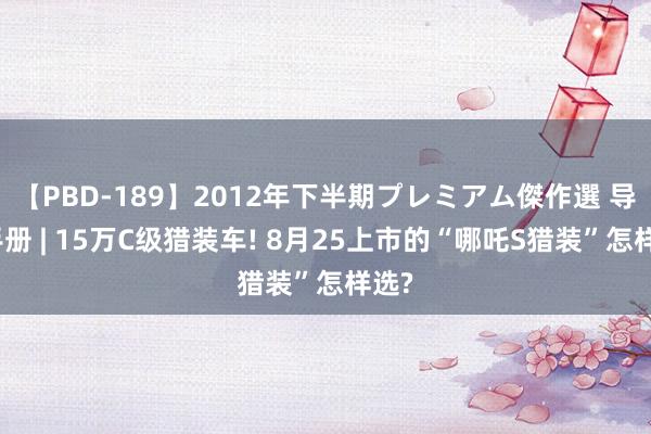 【PBD-189】2012年下半期プレミアム傑作選 导购手册 | 15万C级猎装车! 8月25上市的“哪吒S猎装”怎样选?